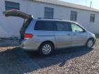 HONDA ODYSSEY EX photo