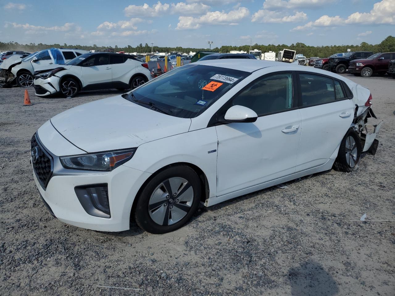 Lot #2991592019 2020 HYUNDAI IONIQ BLUE