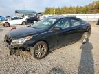2017 HYUNDAI SONATA SE - 5NPE24AF1HH522841