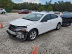 2019 CHEVROLET MALIBU LS - 1G1ZB5ST1KF228460