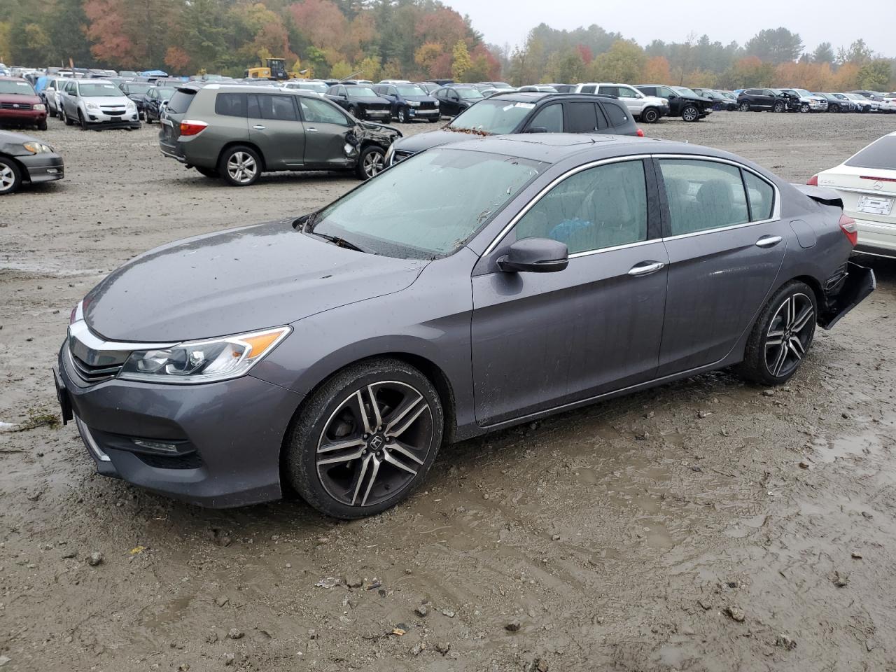 Lot #2969900004 2016 HONDA ACCORD