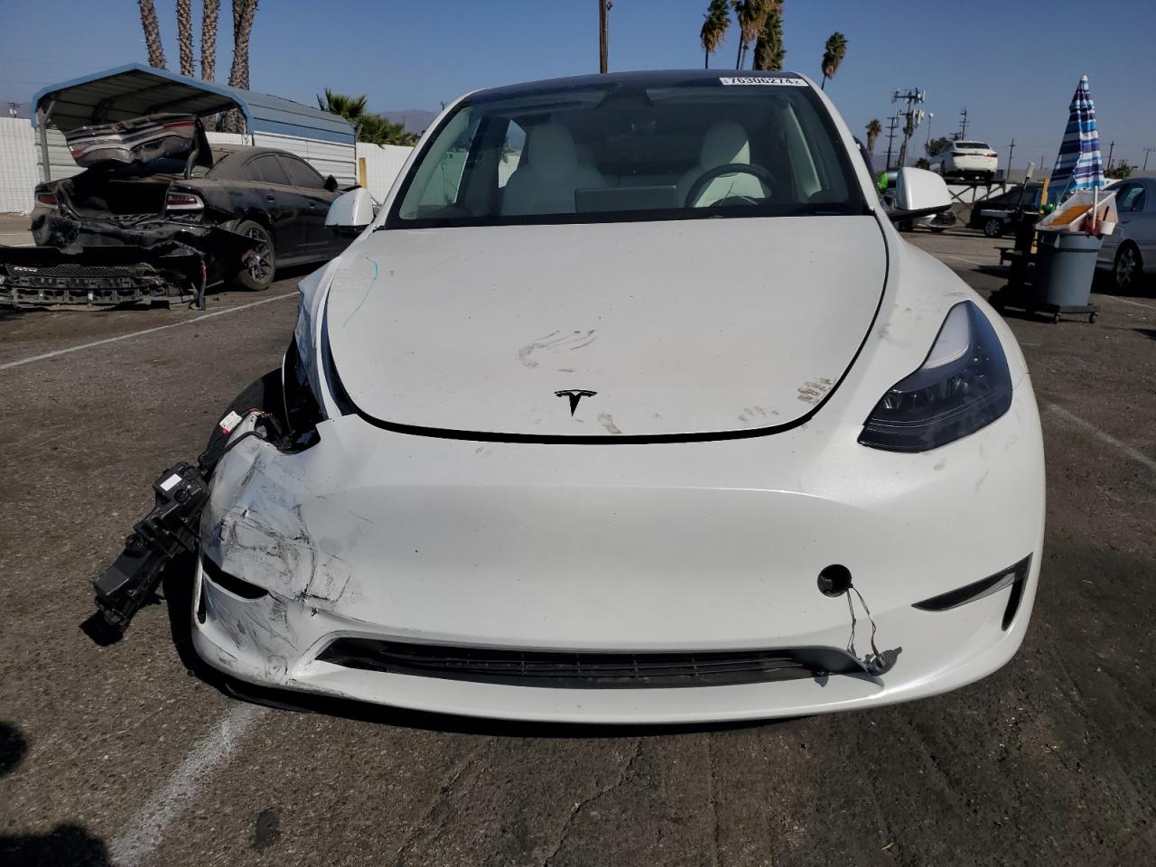 Lot #3044621207 2024 TESLA MODEL Y