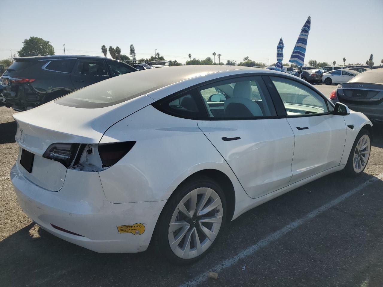 Lot #2976554559 2022 TESLA MODEL 3