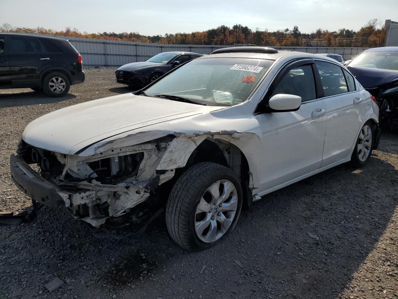 Lot #3032951018 2008 HONDA ACCORD EXL