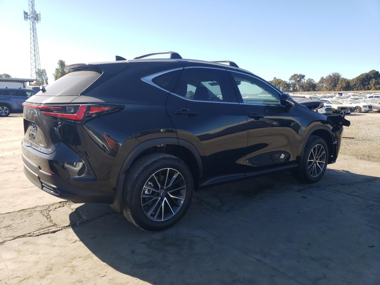 Lot #2986883784 2025 LEXUS NX 350H BA