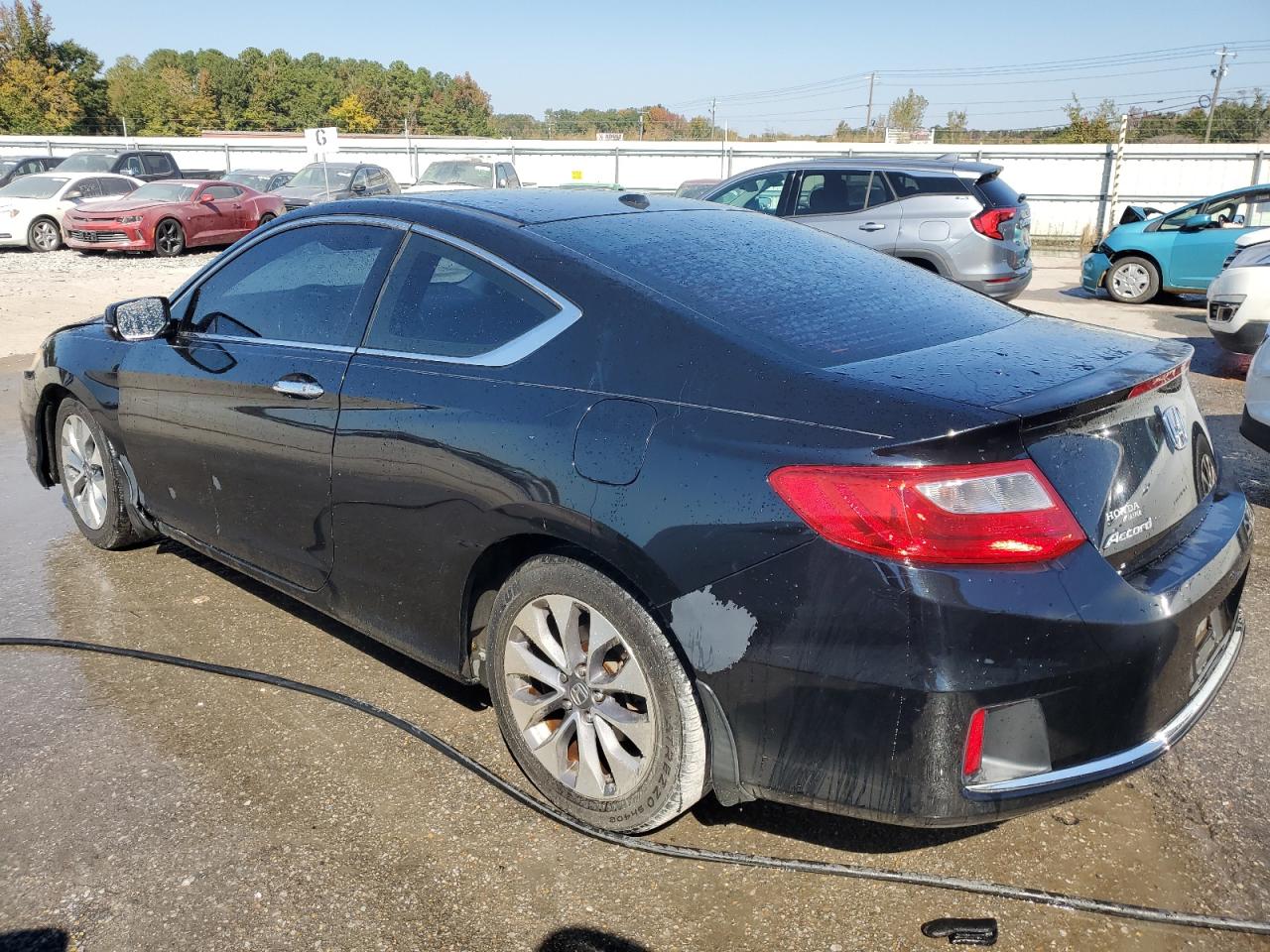 Lot #3009204285 2013 HONDA ACCORD EXL