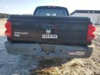 Lot #2957804183 2008 DODGE DAKOTA SXT