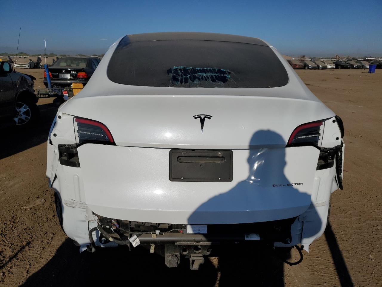 Lot #2921729568 2021 TESLA MODEL Y