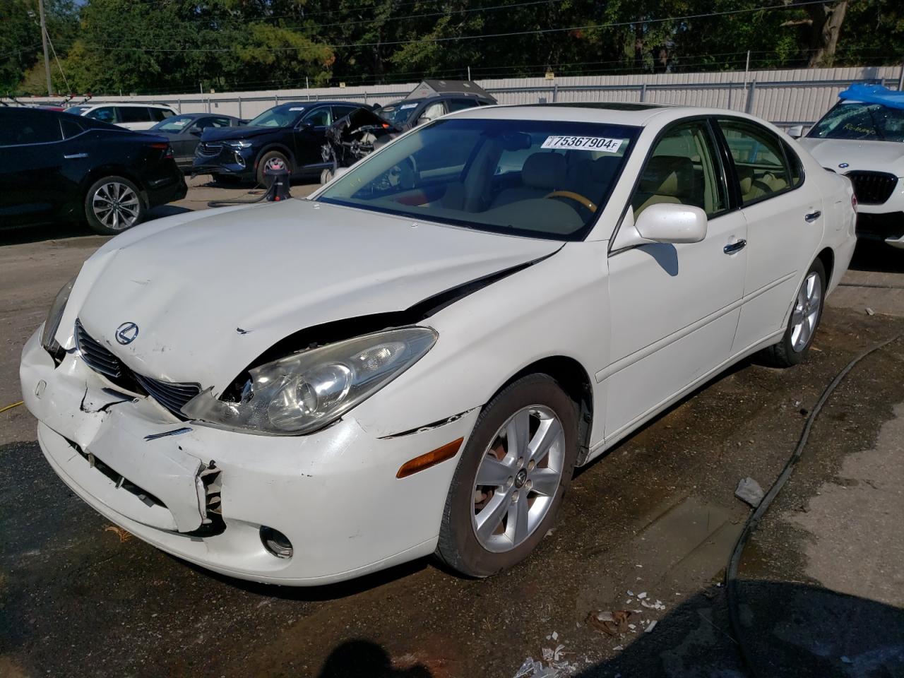 Lot #2955276522 2005 LEXUS ES 330