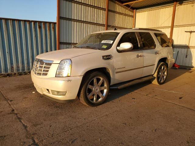 Global Auto Auctions: 2009 CADILLAC ESCALADE H