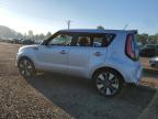 KIA SOUL ! photo