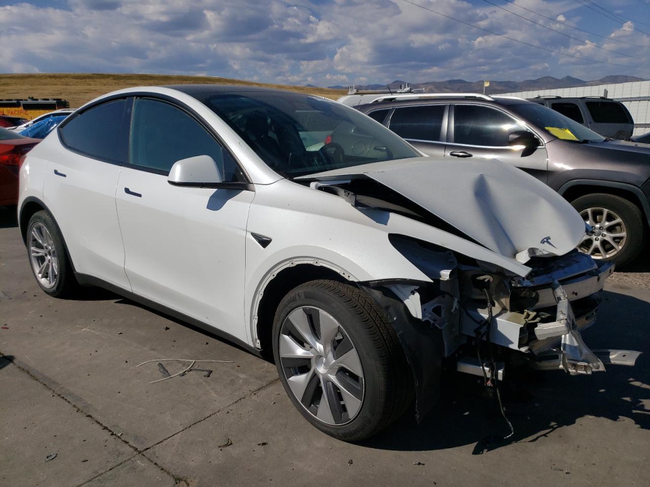 Lot #2960211112 2023 TESLA MODEL Y