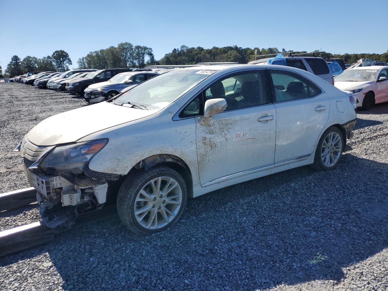 Lot #2947461939 2010 LEXUS HS 250H