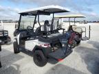 Lot #3025203685 2023 BINT GOLFCART