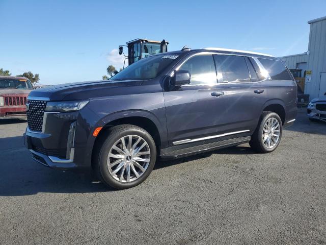 2023 CADILLAC ESCALADE P #2969735280