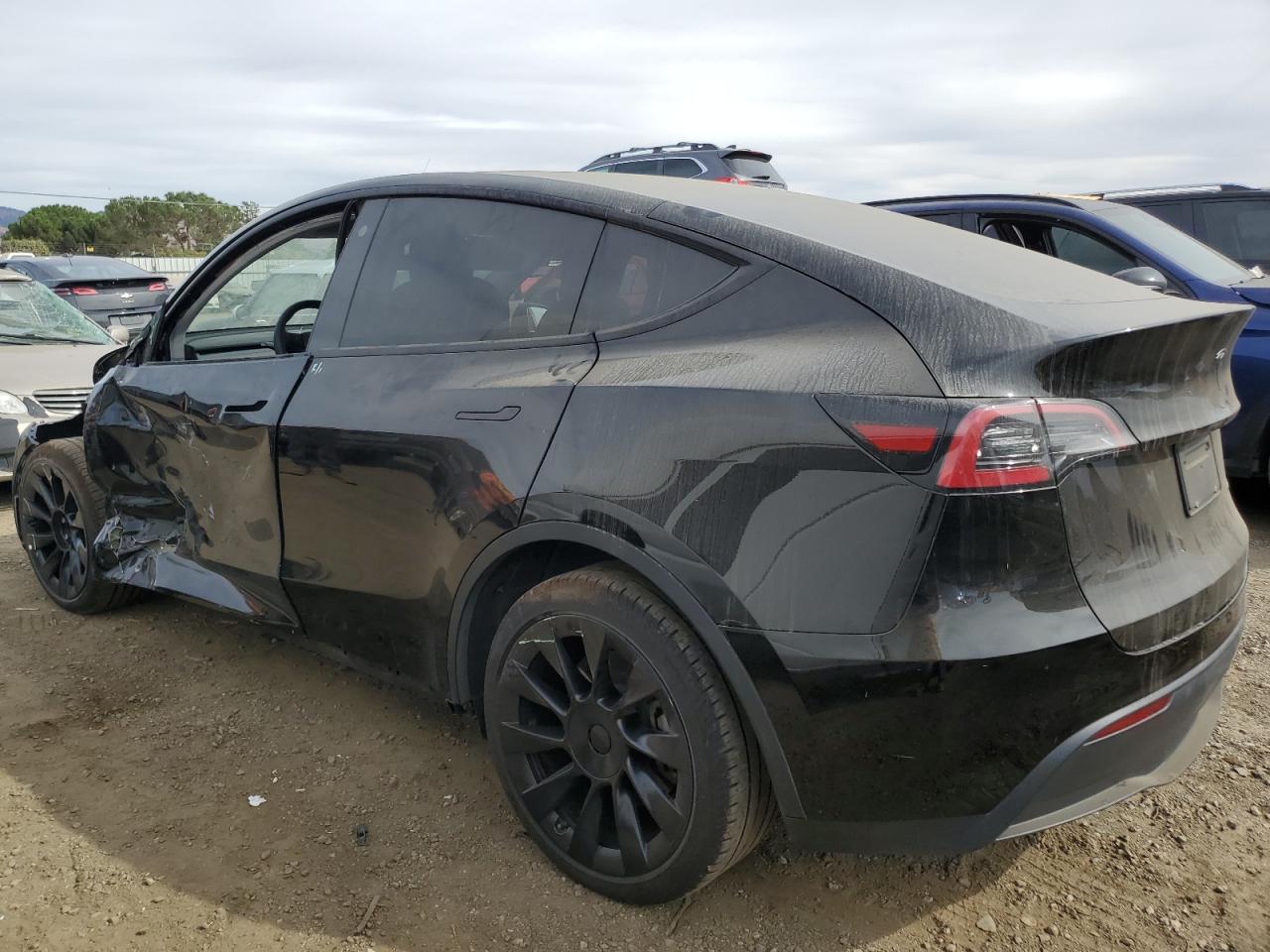 Lot #2986276233 2023 TESLA MODEL Y