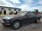 Lot #3023446336 2008 FORD MUSTANG