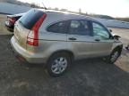 HONDA CR-V EX photo