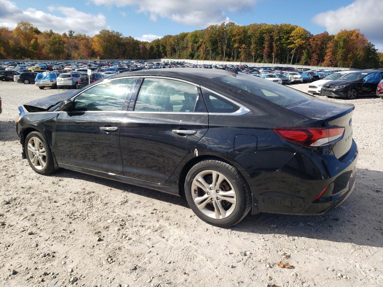 Lot #2974821156 2019 HYUNDAI SONATA LIM