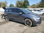 Lot #3022976156 2023 HONDA ODYSSEY EL