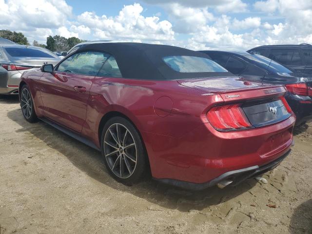 2019 FORD MUSTANG - 1FATP8UH0K5149902