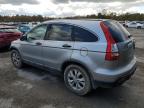 HONDA CR-V EX photo