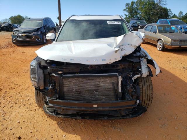 2020 KIA TELLURIDE - 5XYP64HC6LG051567