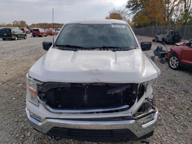 2022 FORD F150 SUPER - 1FTFW1E56NFA64843