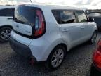 KIA SOUL + photo