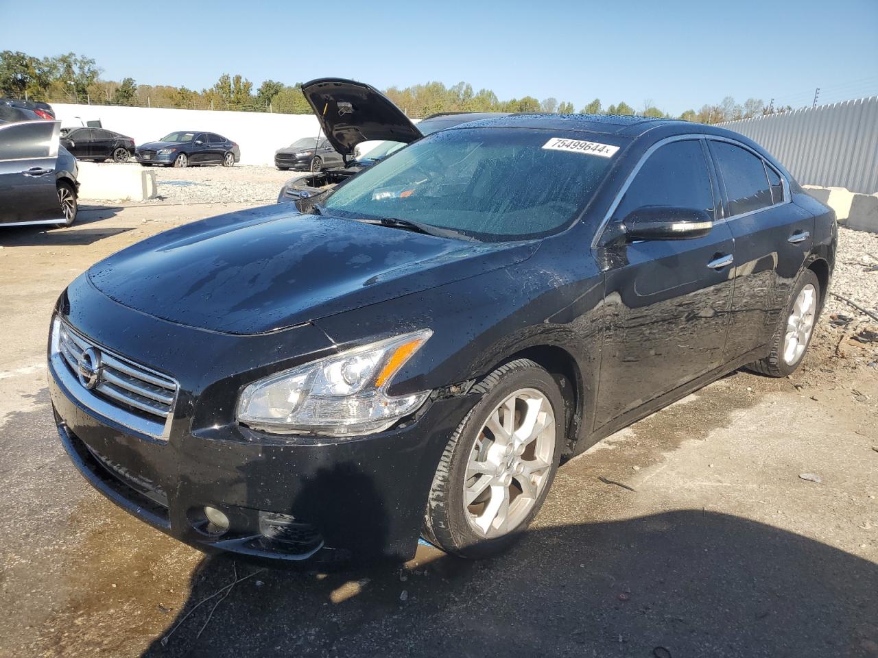 Lot #2905288572 2014 NISSAN MAXIMA S