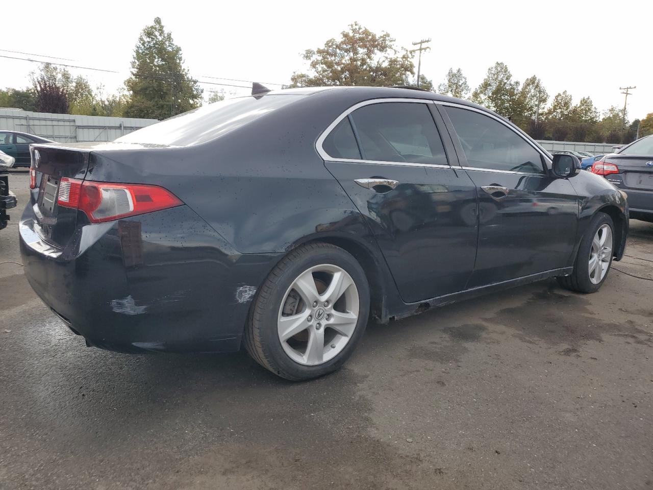 Lot #2941086474 2009 ACURA TSX