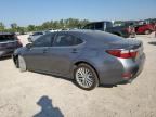 LEXUS ES 350 снимка