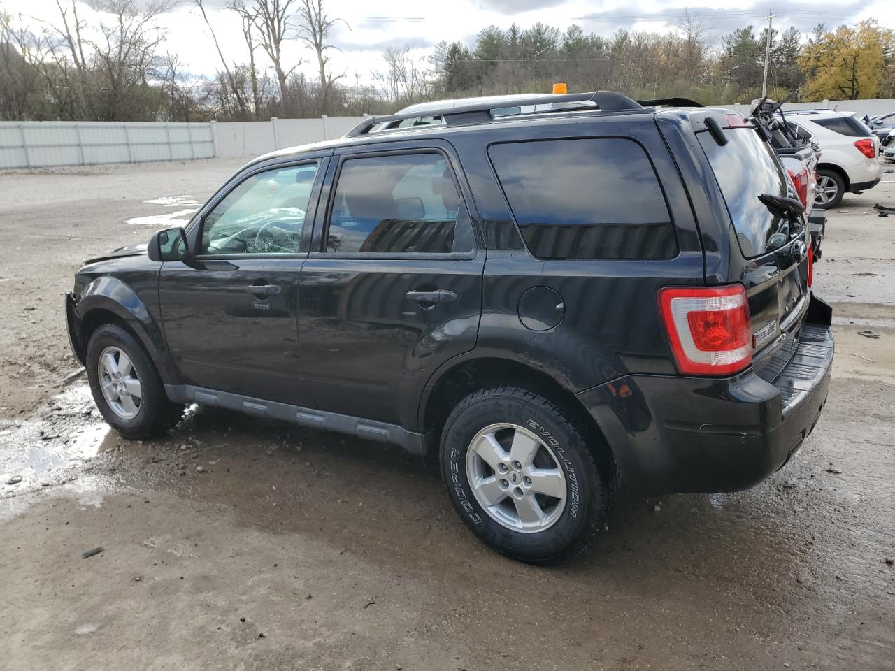 Lot #3033176173 2010 FORD ESCAPE XLT