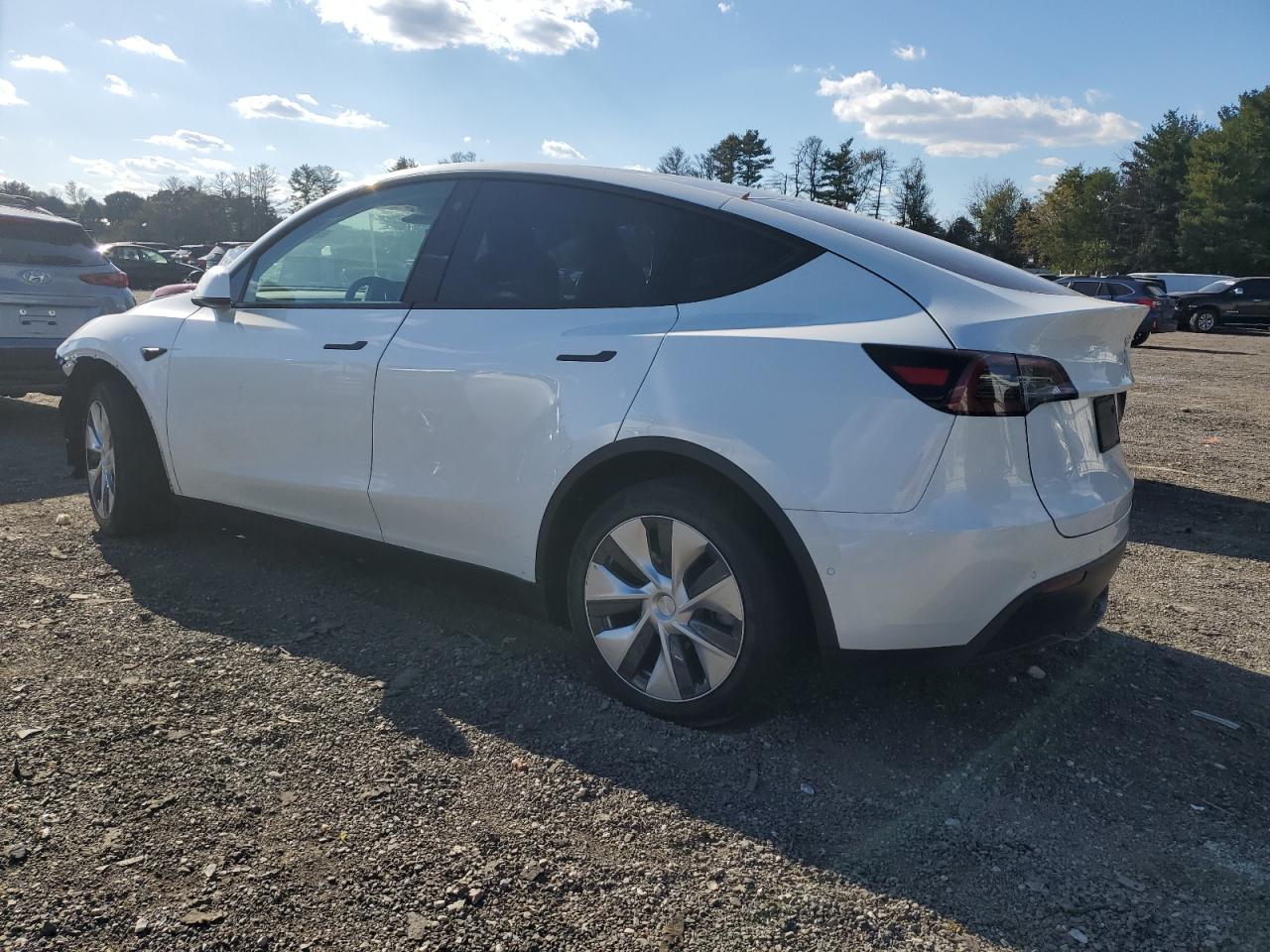 Lot #2962553818 2022 TESLA MODEL Y