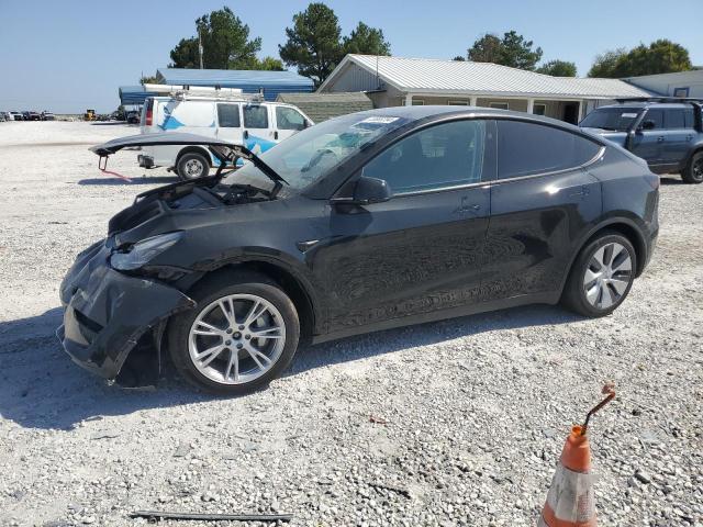 TESLA MODEL Y 2023 black  electric 7SAYGAEE6PF946899 photo #1