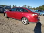 FORD FOCUS SE photo