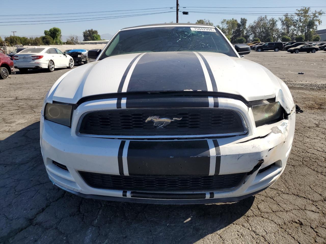 Lot #3024344578 2014 FORD MUSTANG