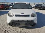 KIA SOUL + photo