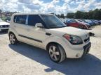 KIA SOUL + photo