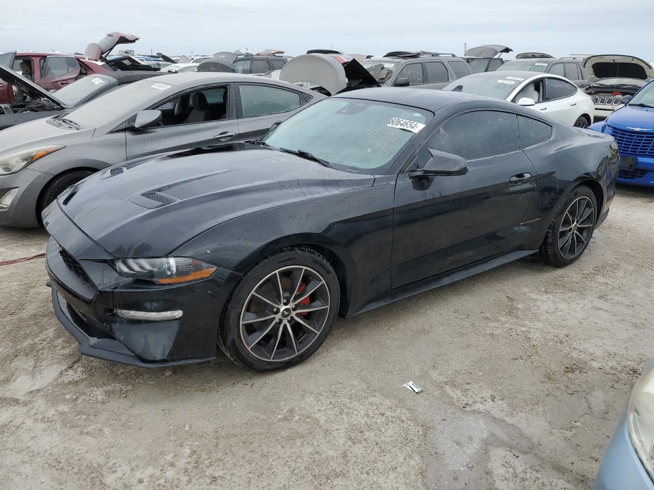 Lot #2976941868 2021 FORD MUSTANG