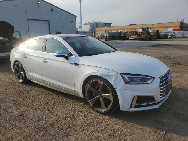 2019 AUDI S5 PRESTIG WAUC4CF55KA071856