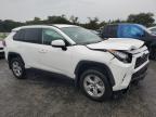 TOYOTA RAV4 XLE photo