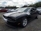 DODGE CHALLENGER photo