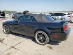 Lot #3026131329 2005 FORD MUSTANG GT