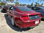 FORD MUSTANG photo