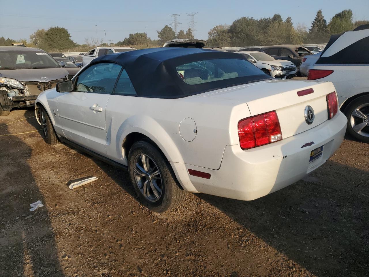 Lot #2962700068 2007 FORD MUSTANG