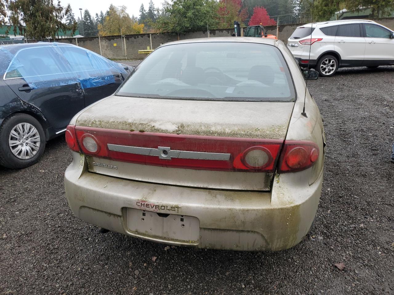 Lot #2976574568 2003 CHEVROLET CAVALIER