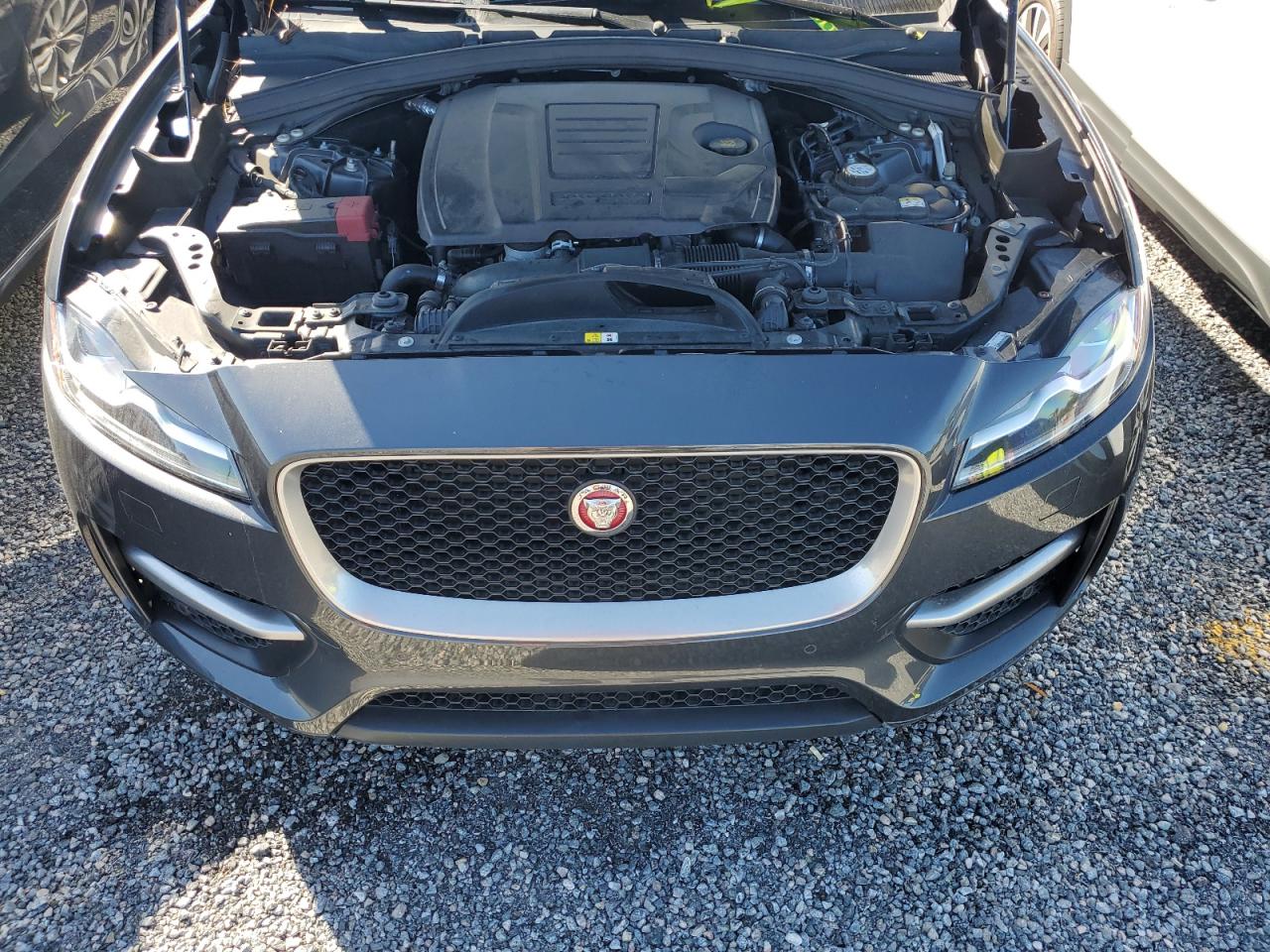 Lot #3032815019 2019 JAGUAR F-PACE R -