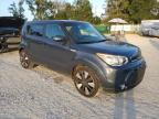 KIA SOUL ! снимка