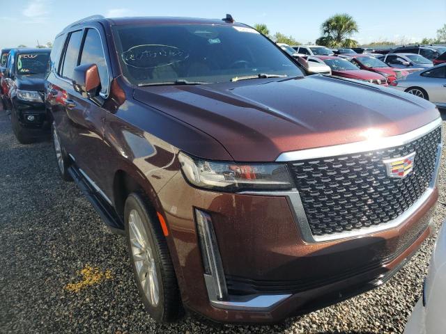 2023 CADILLAC ESCALADE P - 1GYS3BKL5PR179557